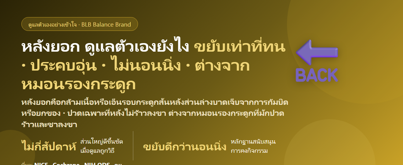 หลังยอก ปวดหลังเฉียบพลันหลังก้มยกของ ดูแลตัวเองยังไง? อาการ สาเหตุ ท่าบริหาร ต่างจากหมอนรองกระดูกอย่างไร