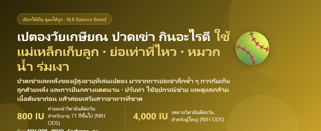 เล่นเปตองวัยเกษียณ ย่อเข่า ก้มเก็บลูกทั้งบ่าย ตากแดด ปวดเข่า–หลัง กินอะไรดี? ดูแลกระดูกและข้อของสายเปตอง