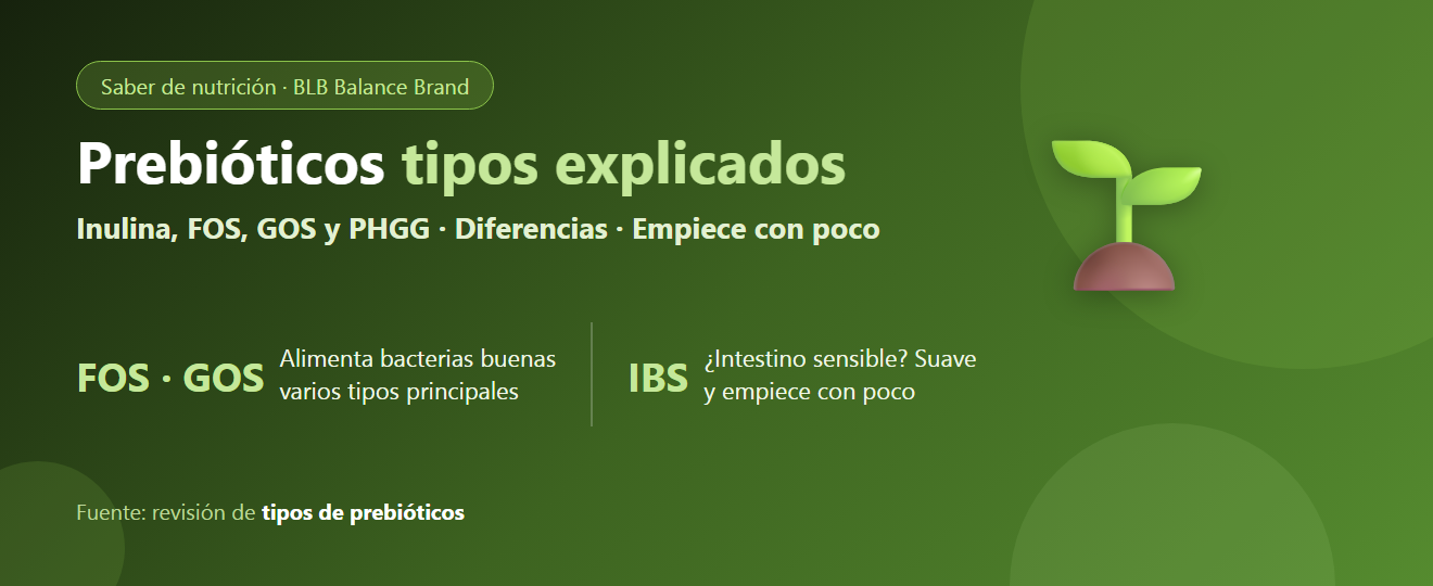 ¿Cuántos tipos de prebióticos hay? Inulina, FOS, GOS y otros: en qué se diferencian