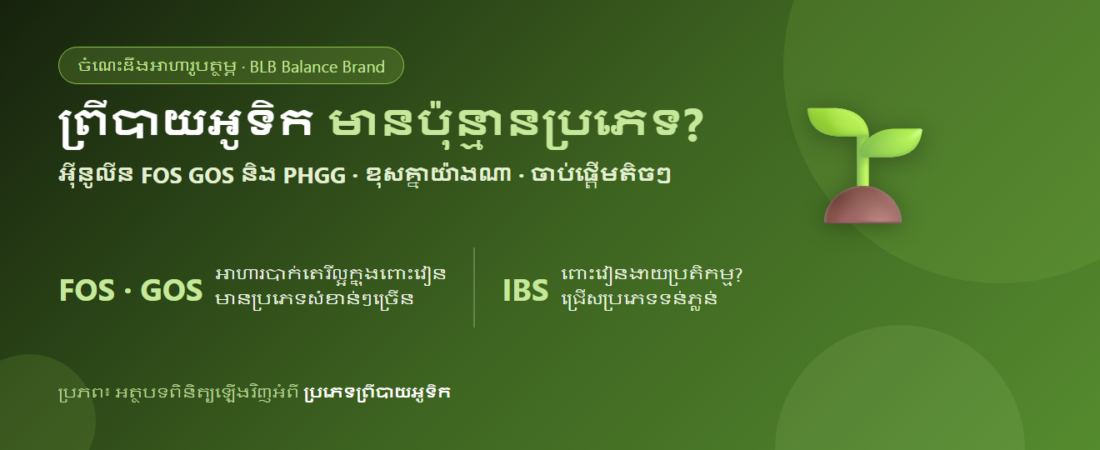 ព្រីបាយអូទិកមានប៉ុន្មានប្រភេទ? អ៊ីនូលីន FOS GOS និងប្រភេទផ្សេងៗ ខុសគ្នាយ៉ាងដូចម្តេច