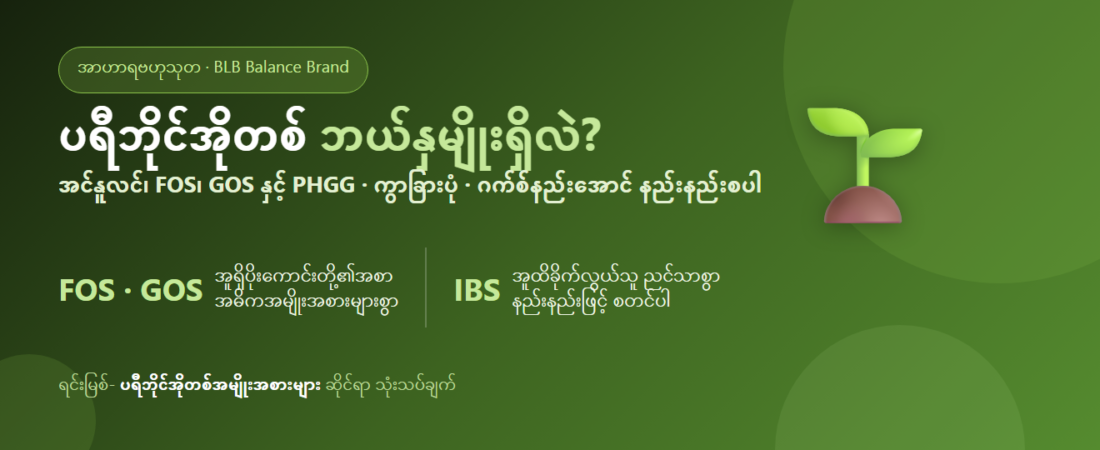 ပရီဘိုင်အိုတစ် ဘယ်နှမျိုးရှိသလဲ? အင်နူလင်၊ FOS၊ GOS နှင့် အခြားအမျိုးအစားများ ဘယ်လိုကွာခြားသလဲ