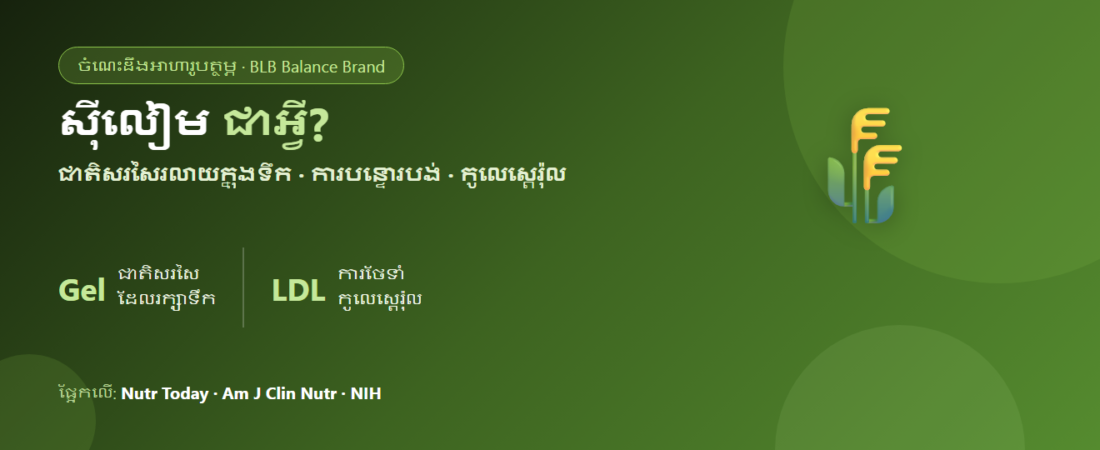 សំបកគ្រាប់ស៊ីលៀម (Psyllium) ជាអ្វី? ជាតិសរសៃរលាយក្នុងទឹក ការបន្ទោរបង់ និងកូលេស្តេរ៉ុល