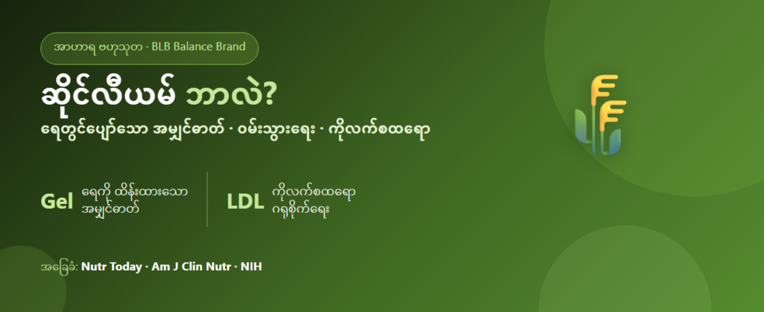 ဆိုင်လီယမ် ဟတ်စ် (Psyllium) ဆိုတာ ဘာလဲ? ရေတွင်ပျော်သော အမျှင်ဓာတ်နှင့် ဝမ်းသွားရေး၊ ကိုလက်စထရော