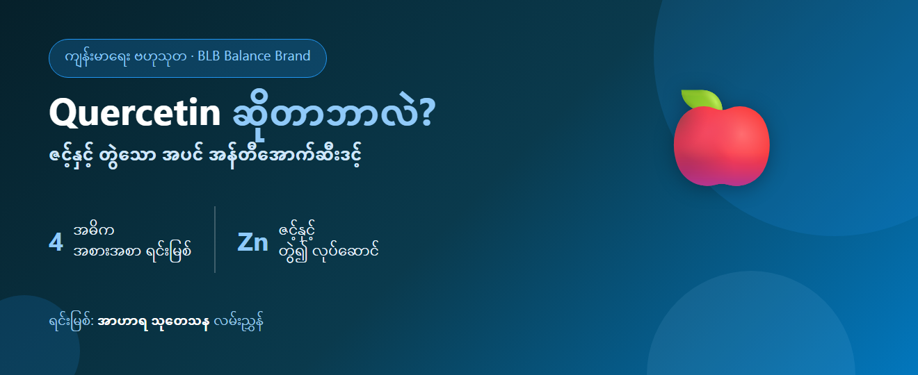 Quercetin ဆိုတာဘာလဲ? အပင်ထဲက အန်တီအောက်ဆီးဒင့်နှင့် ဇင့်နှင့် တွဲ၍ ဘယ်လို အလုပ်လုပ်သလဲ