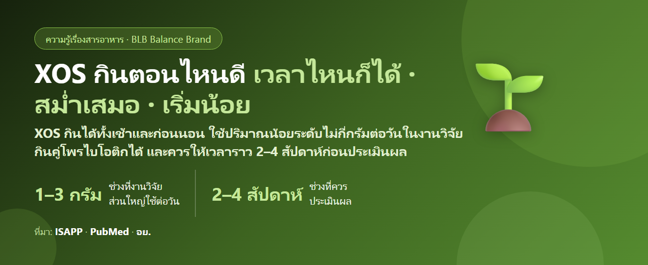 ไซโลโอลิโกแซ็กคาไรด์ (XOS) กินตอนไหนดี? เช้าหรือก่อนนอน ใช้กี่กรัมพอ กินคู่โพรไบโอติกได้ไหม และต้องกินนานแค่ไหนถึงประเมินผล